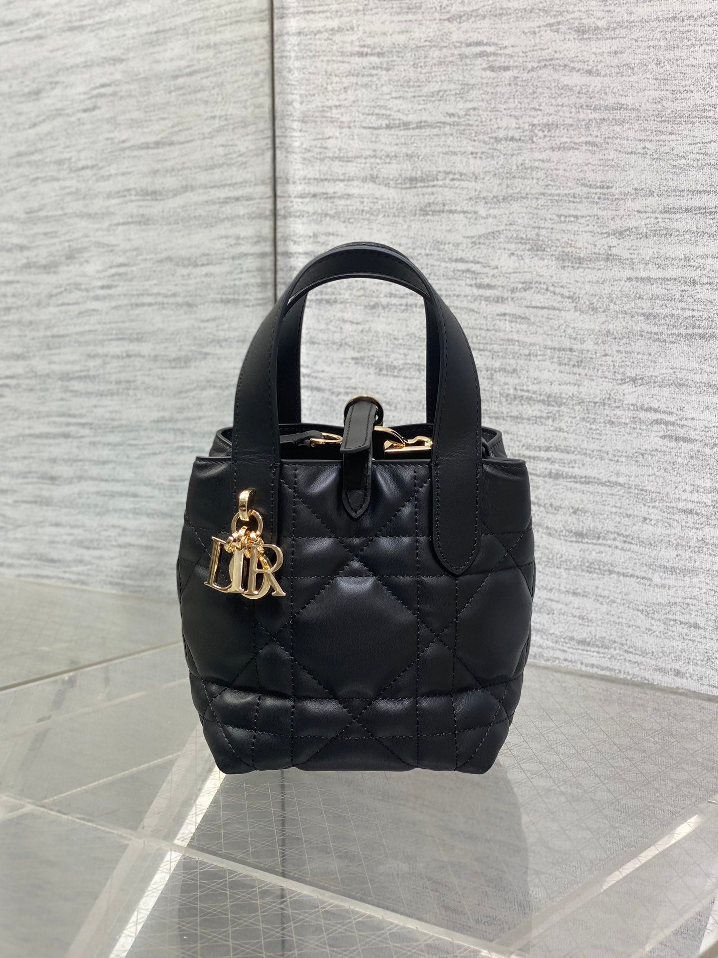 BAG-DIOR-W-LY-059