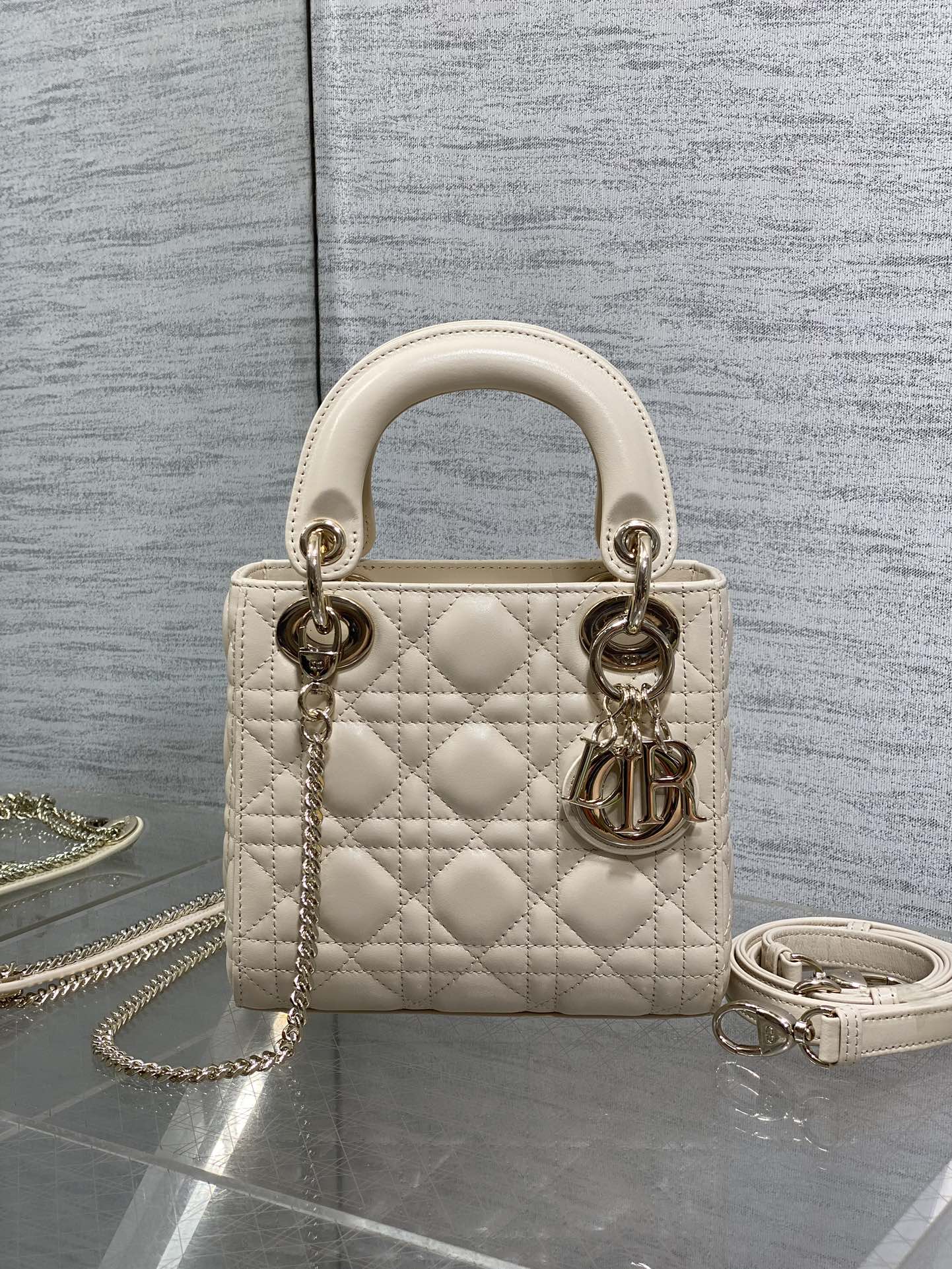 BAG-DIOR-W-LY-736