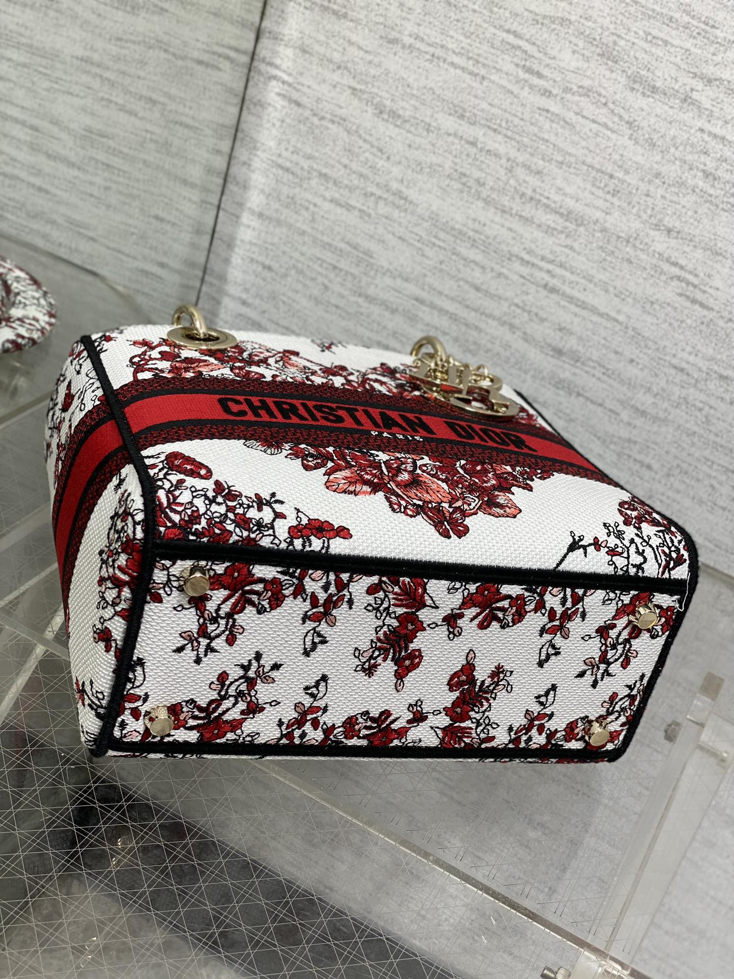 BAG-DIOR-W-LY-447