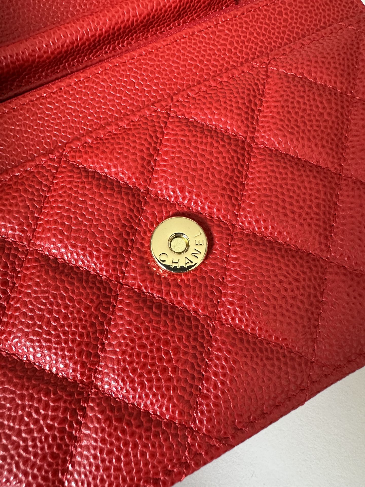 BAG-CHANEL-541