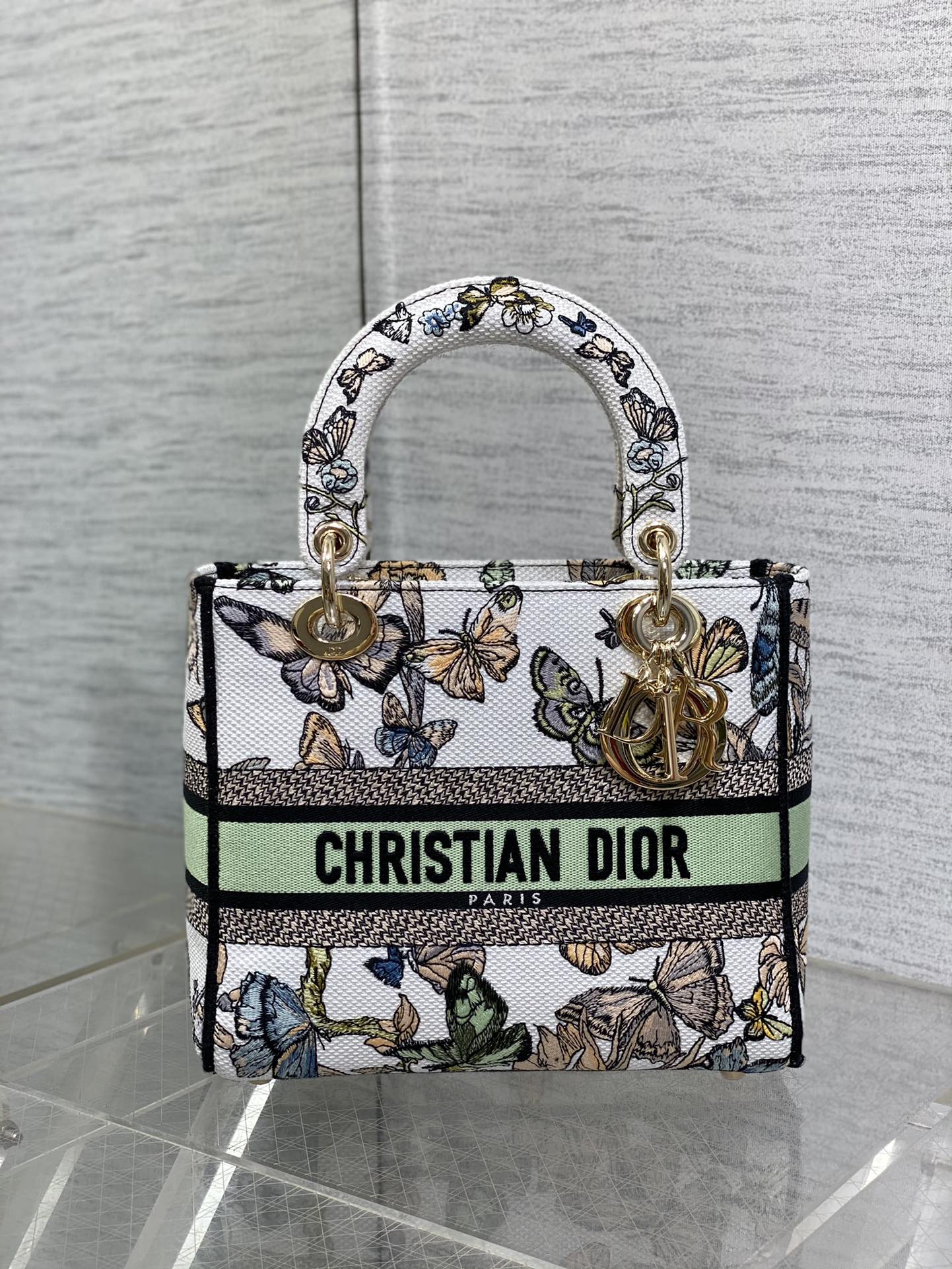 BAG-DIOR-W-LY-079