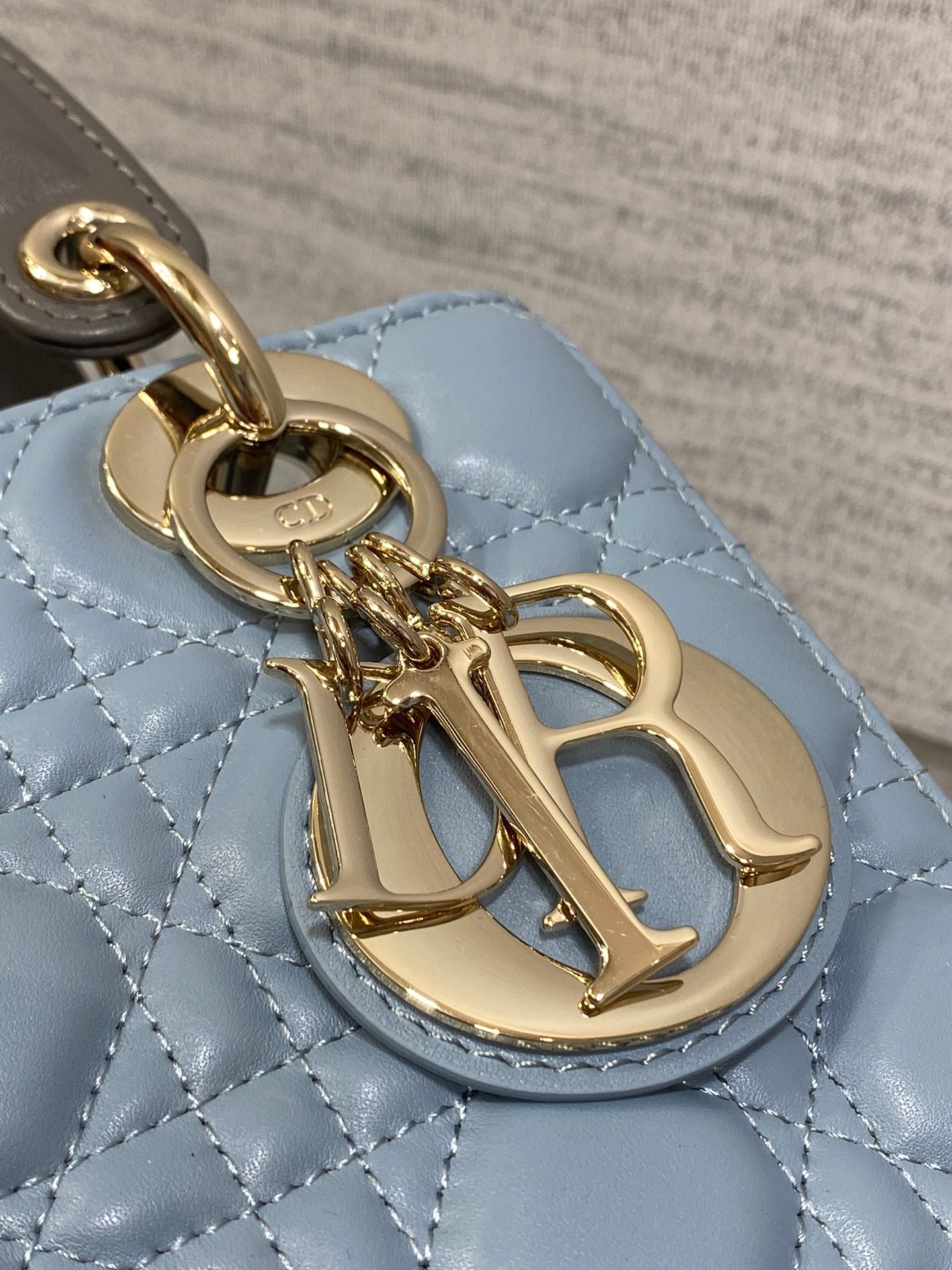 BAG-DIOR-W-LY-549