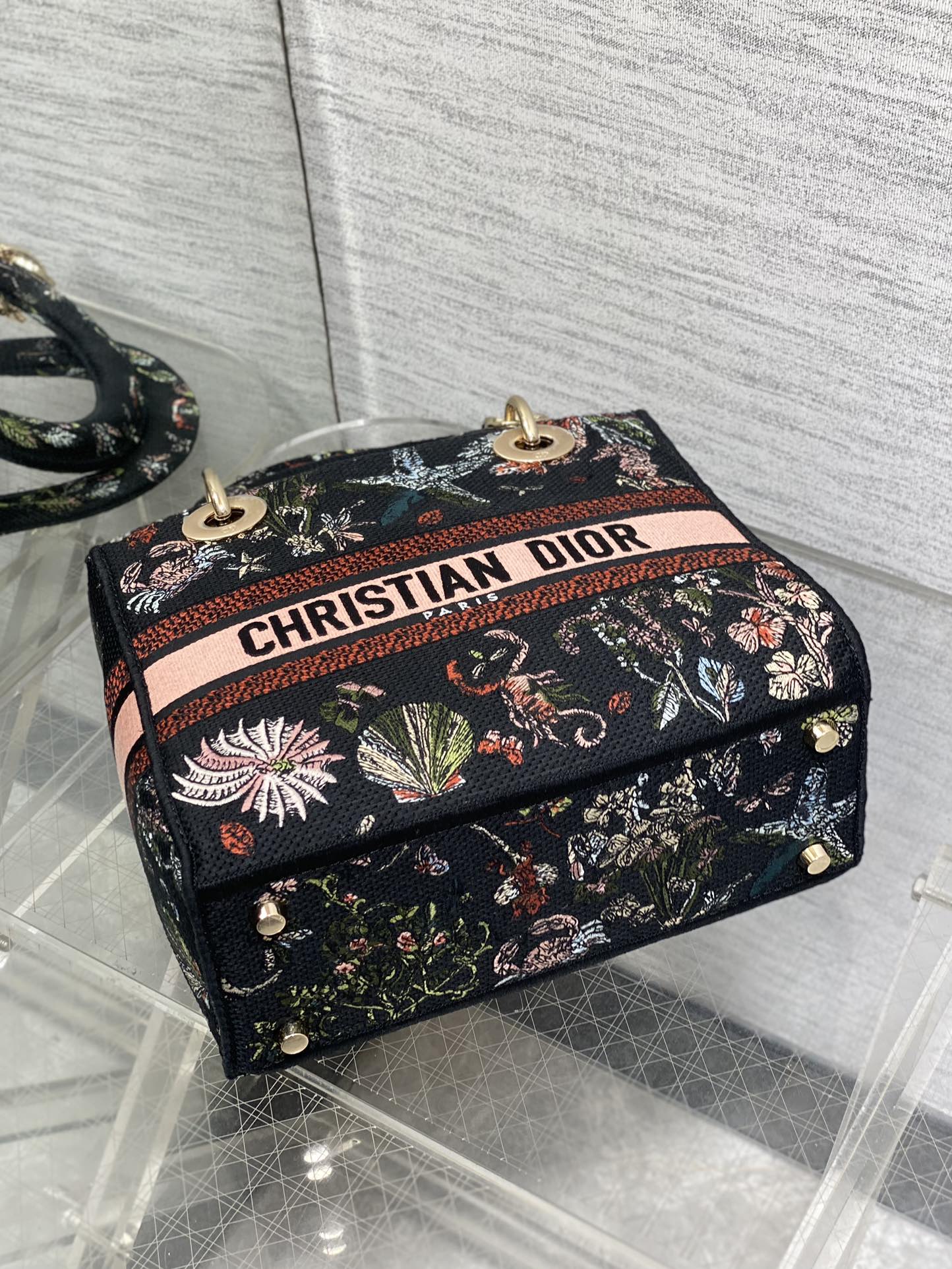 BAG-DIOR-W-LY-075