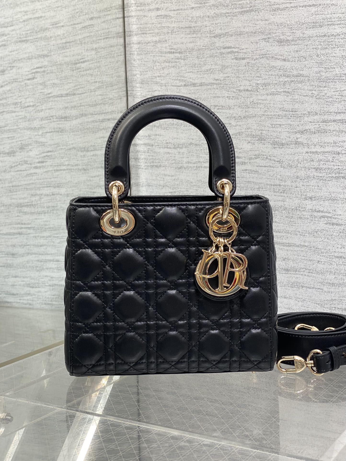 BAG-DIOR-W-LY-696