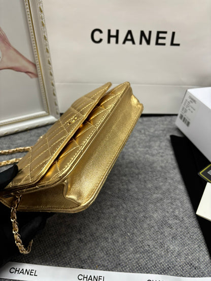 BAG-CHANEL-150