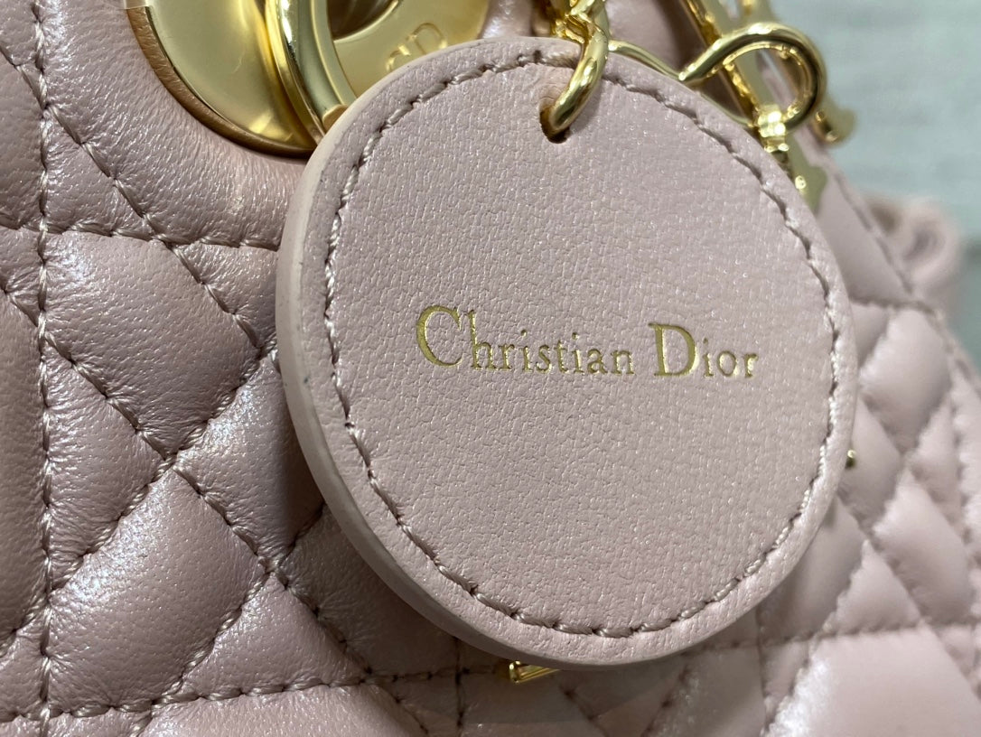 BAG-DIOR-W-LY-164