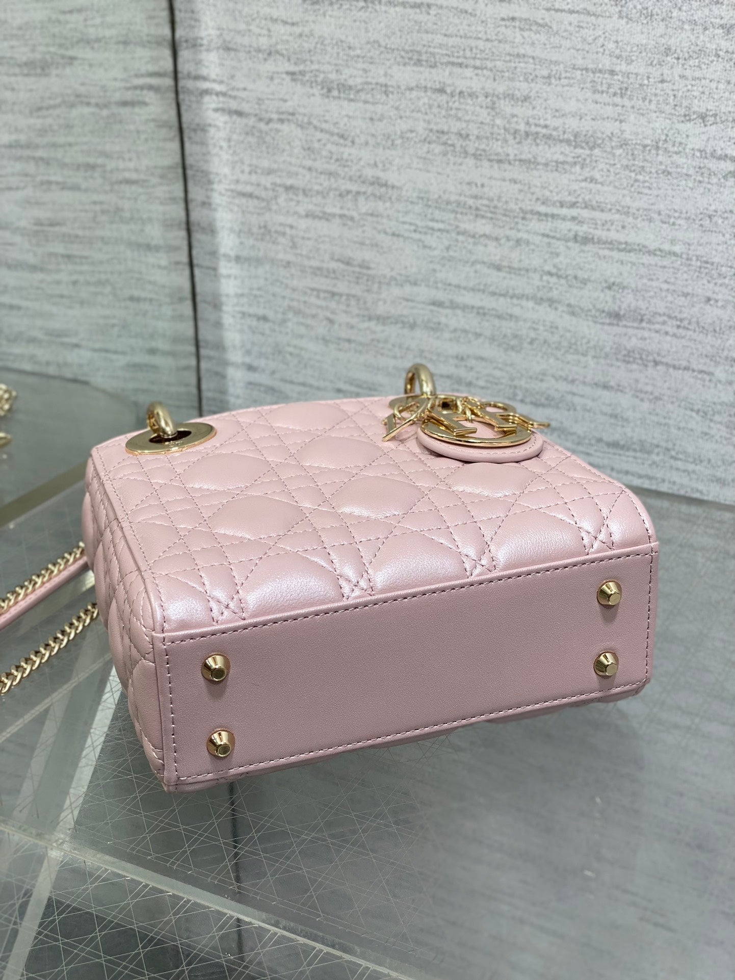 BAG-DIOR-W-LY-754