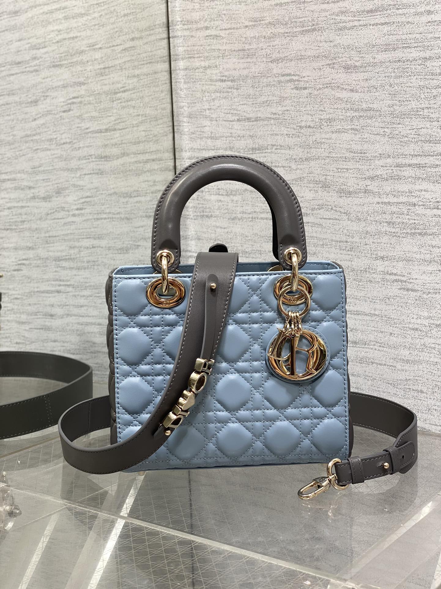 BAG-DIOR-W-LY-549