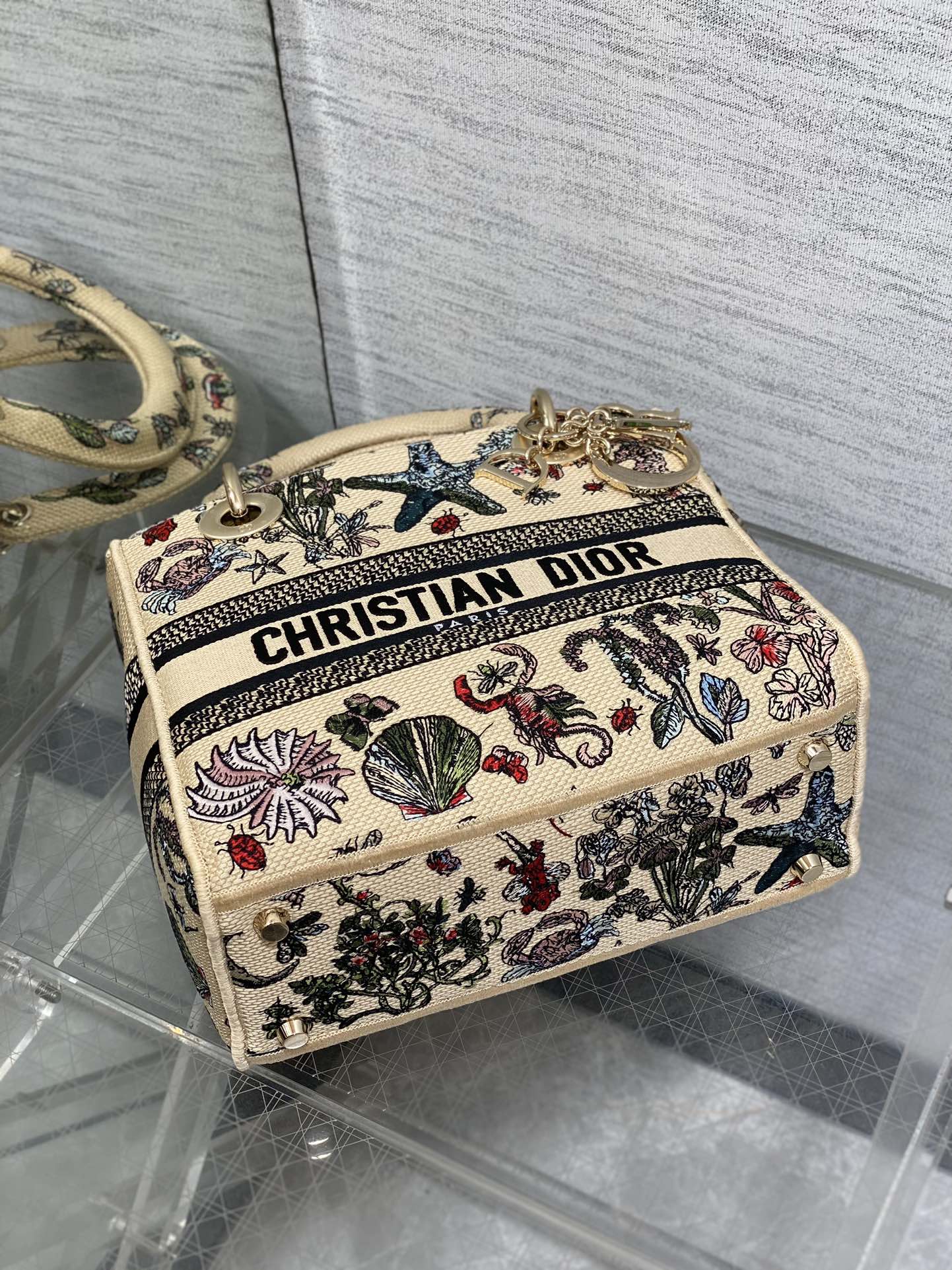 BAG-DIOR-W-LY-502