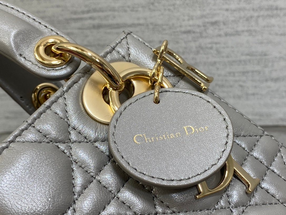 BAG-DIOR-W-LY-544