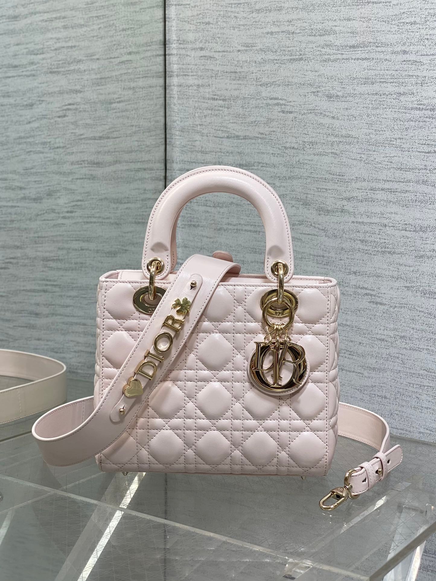 BAG-DIOR-W-LY-721