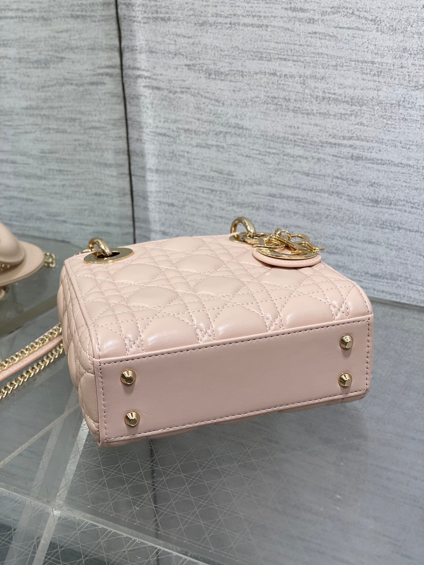BAG-DIOR-W-LY-749