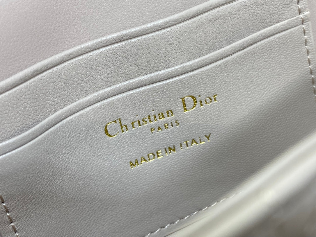 BAG-DIOR-W-LY-036