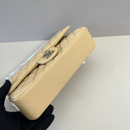 BAG-CHANEL-493