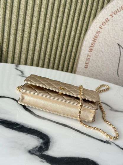 BAG-CHANEL-309