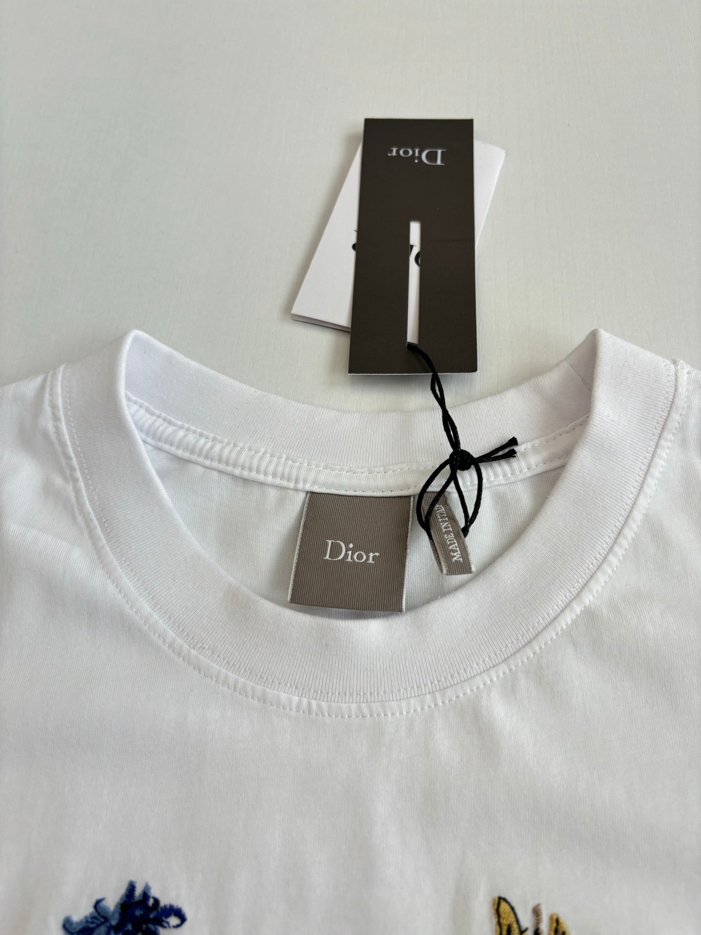 TS-DIOR-NEW-029