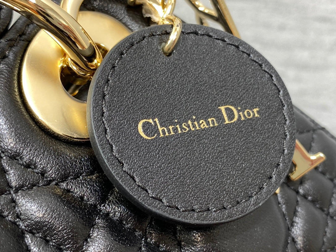 BAG-DIOR-W-LY-188