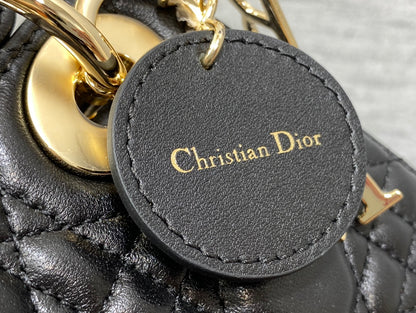 BAG-DIOR-W-LY-188