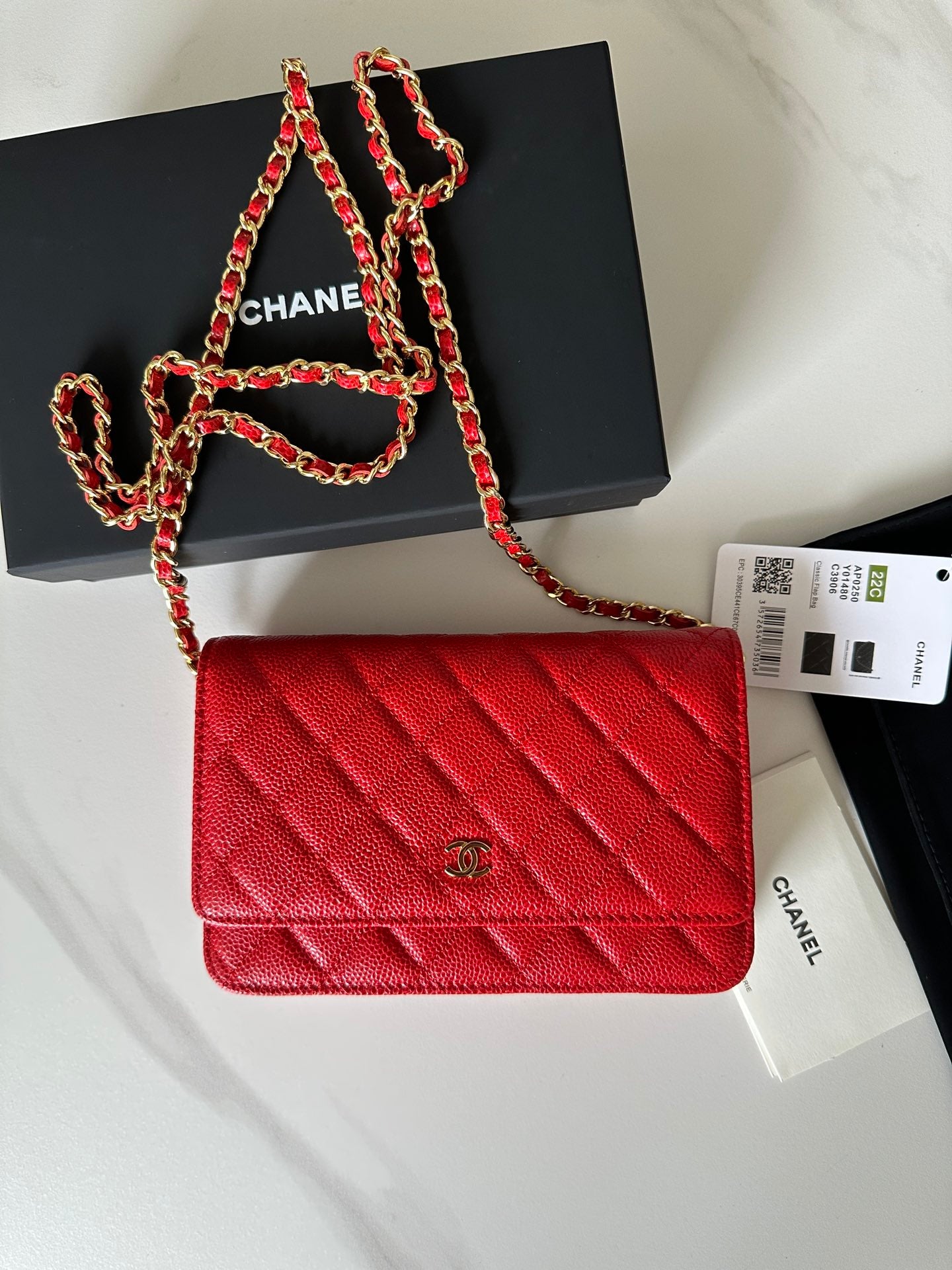 BAG-CHANEL-541