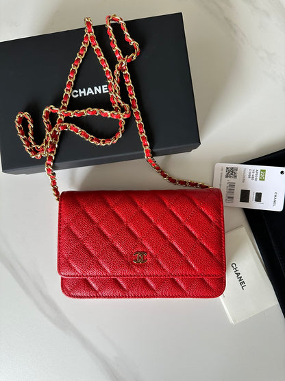 BAG-CHANEL-541