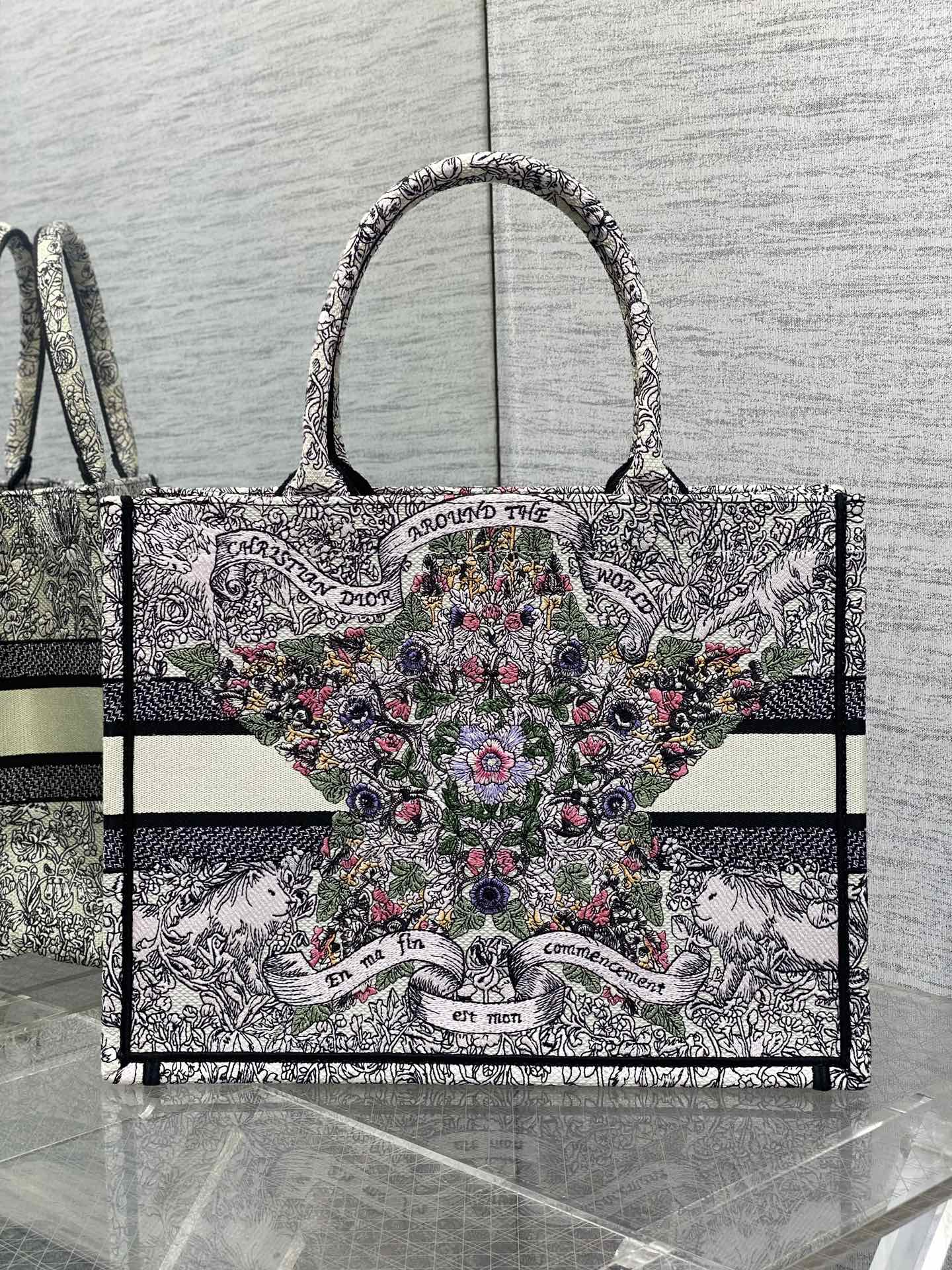 BAG-DIOR-W-LY-843