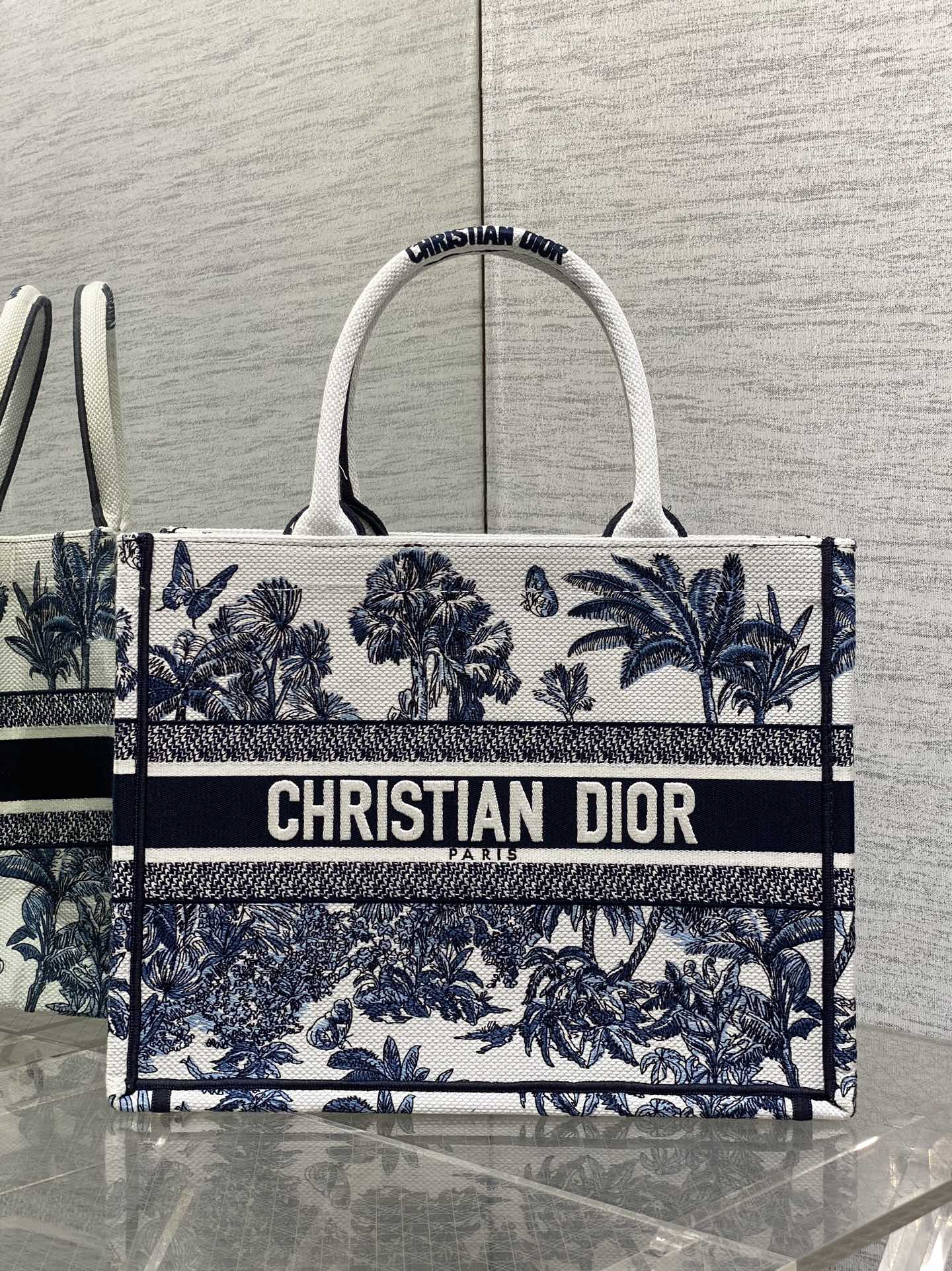 BAG-DIOR-W-LY-939