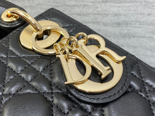 BAG-DIOR-W-LY-188