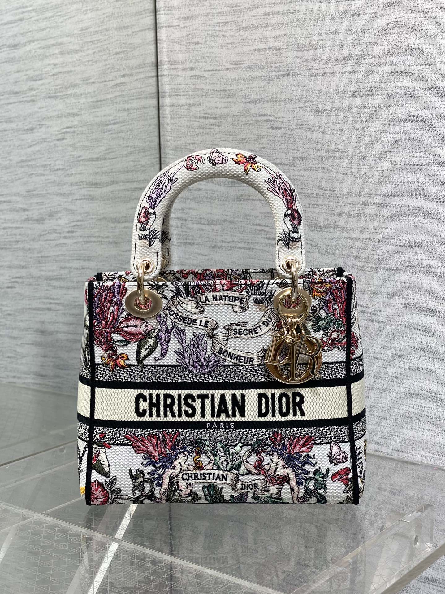 BAG-DIOR-W-LY-512
