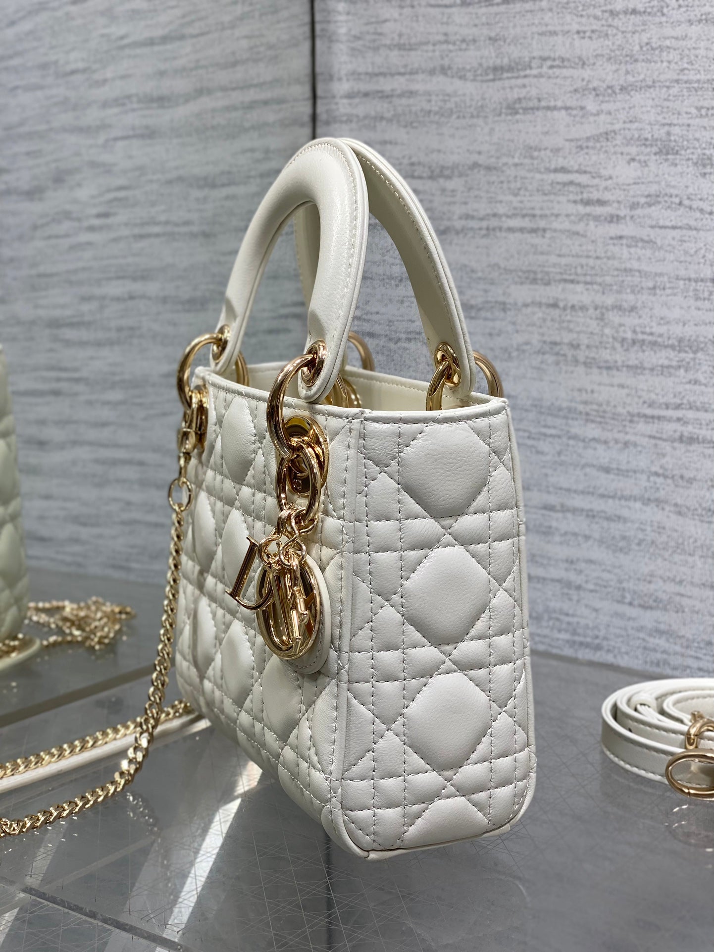 BAG-DIOR-W-LY-747
