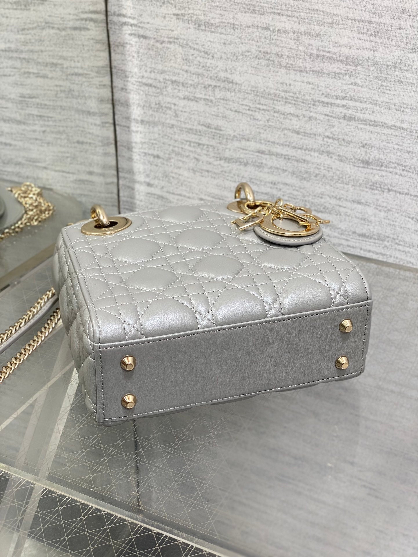 BAG-DIOR-W-LY-757