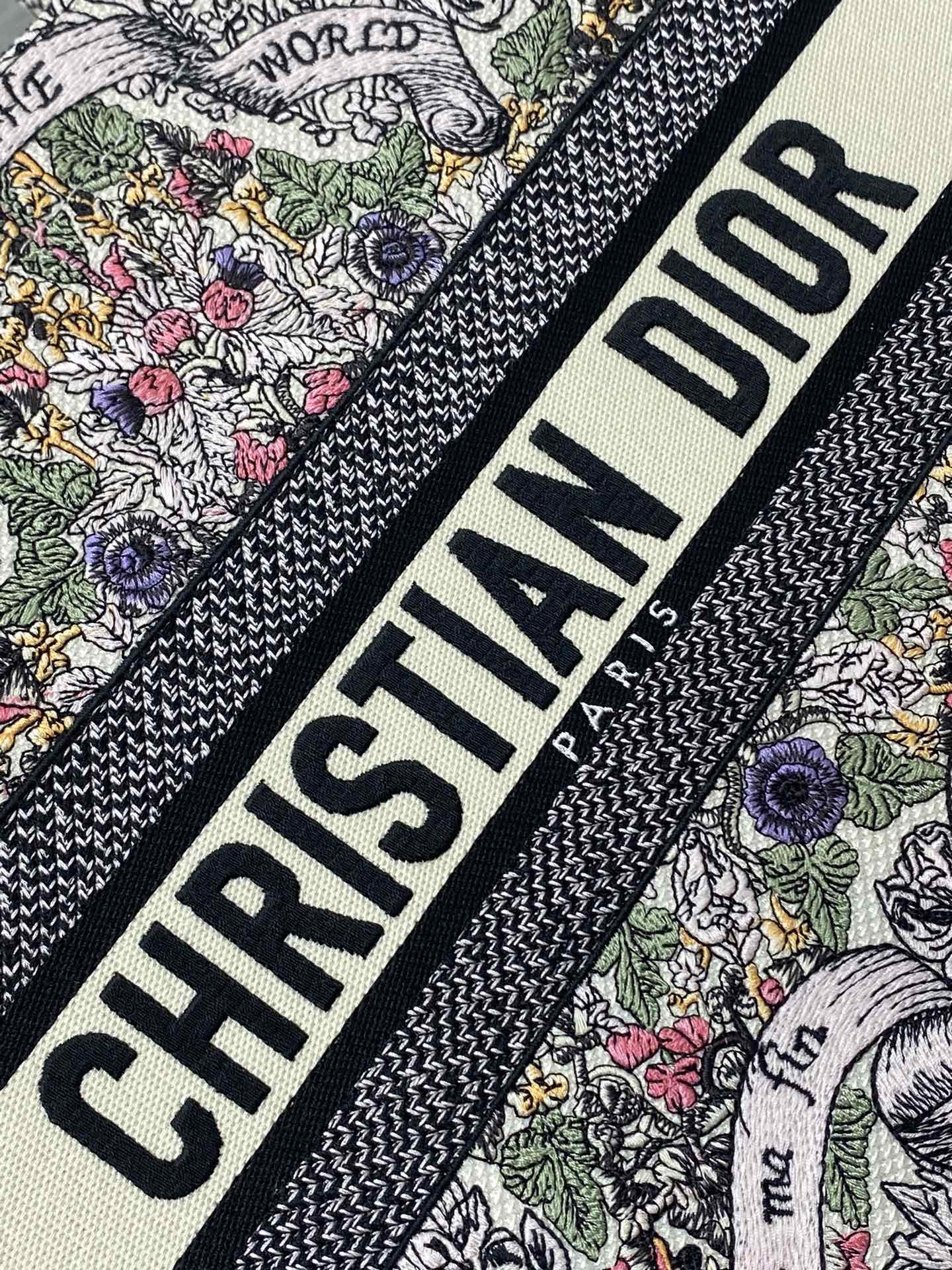 BAG-DIOR-W-LY-843