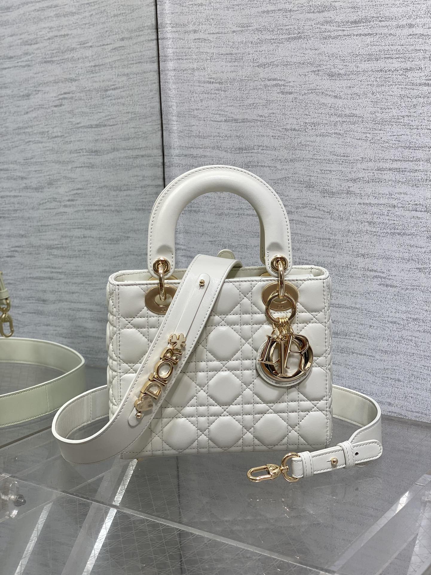 BAG-DIOR-W-LY-162