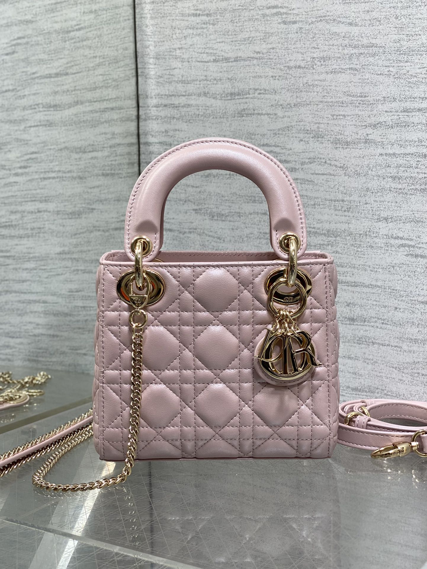 BAG-DIOR-W-LY-754