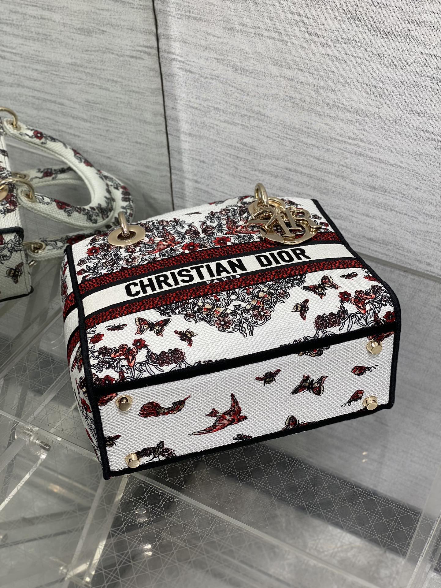 BAG-DIOR-W-LY-506