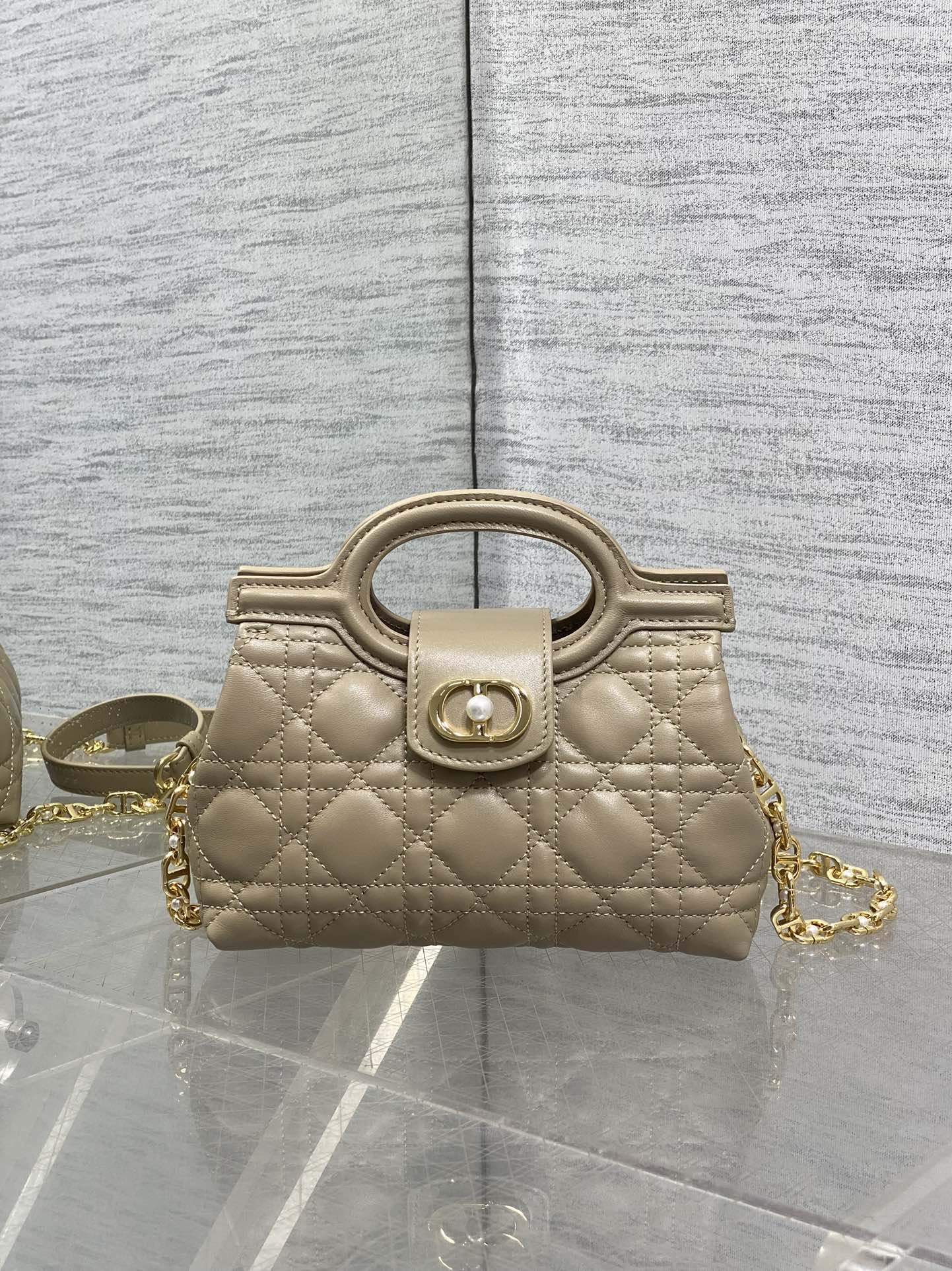 BAG-DIOR-W-LY-024