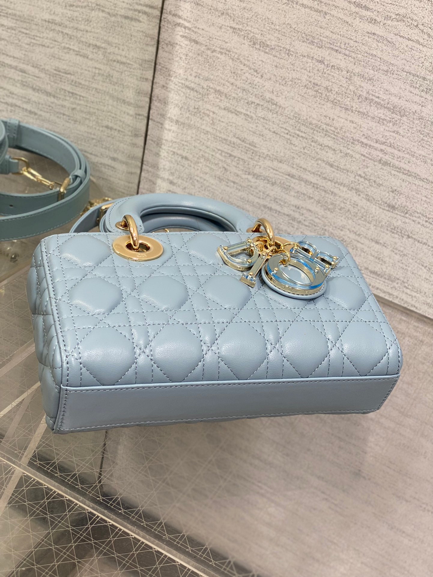 BAG-DIOR-W-LY-017