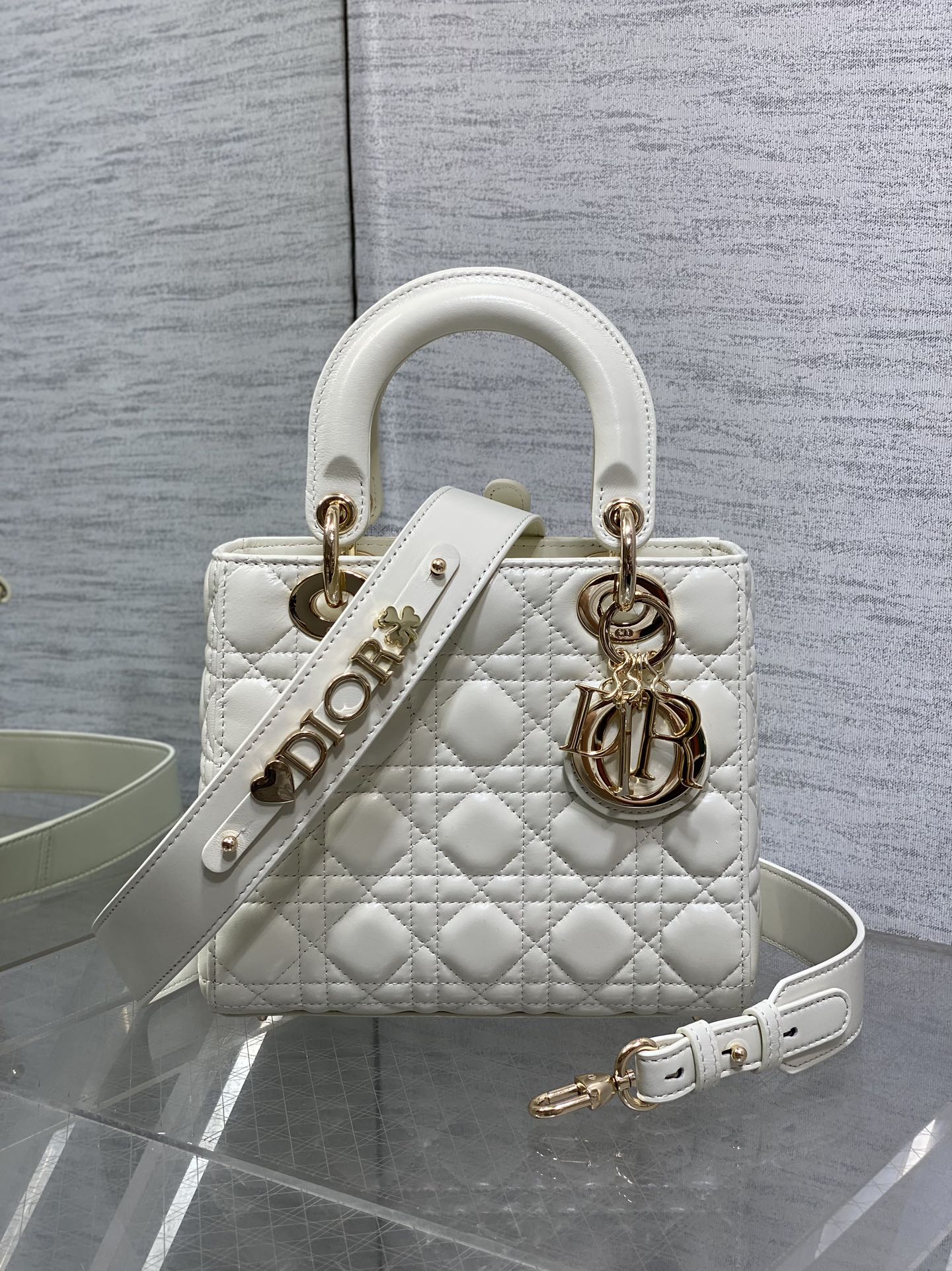 BAG-DIOR-W-LY-763