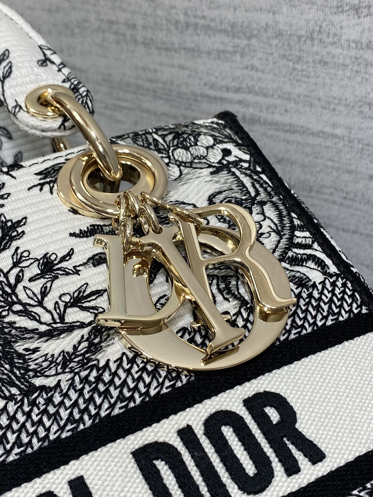 BAG-DIOR-W-LY-445