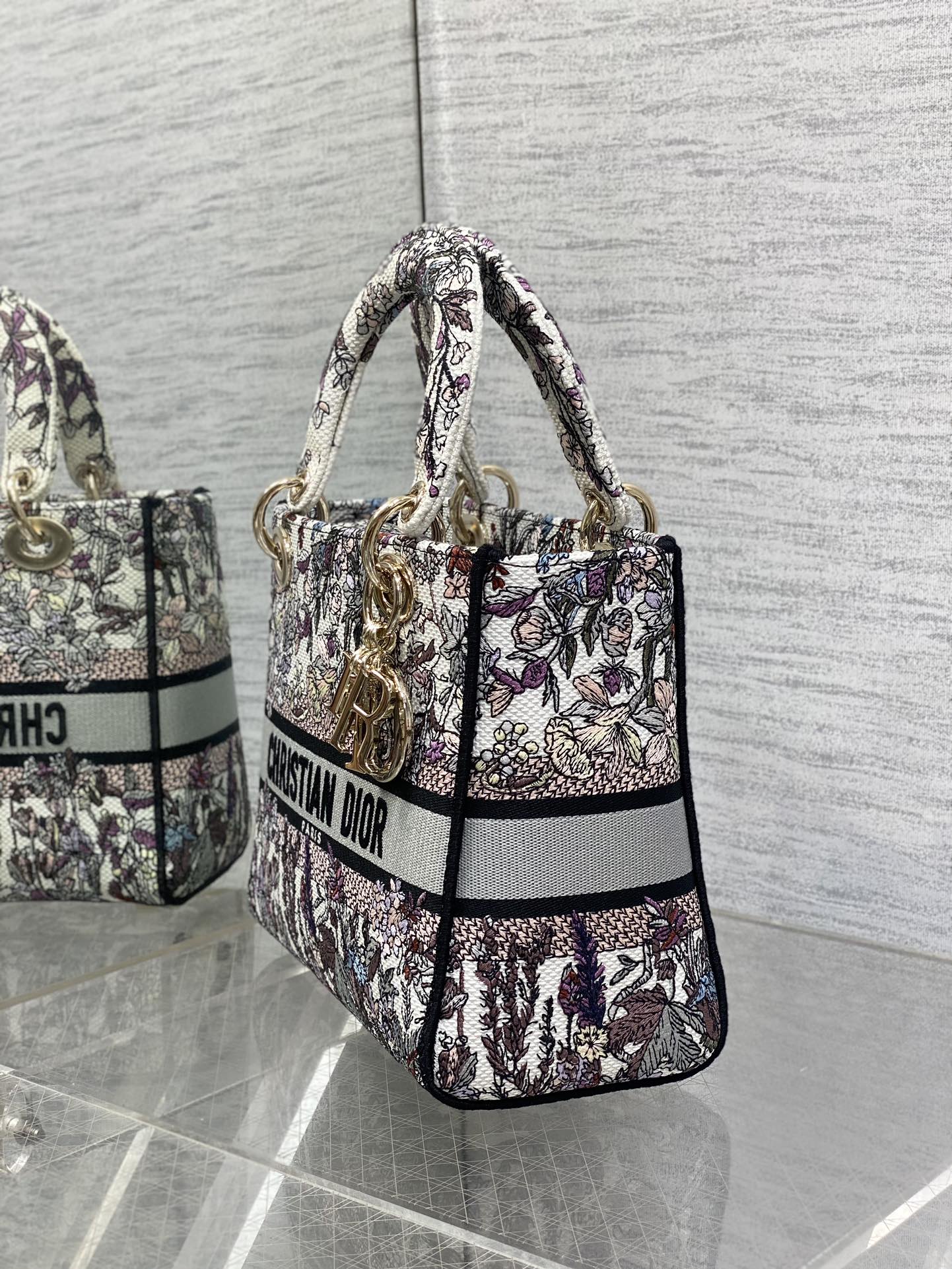BAG-DIOR-W-LY-072