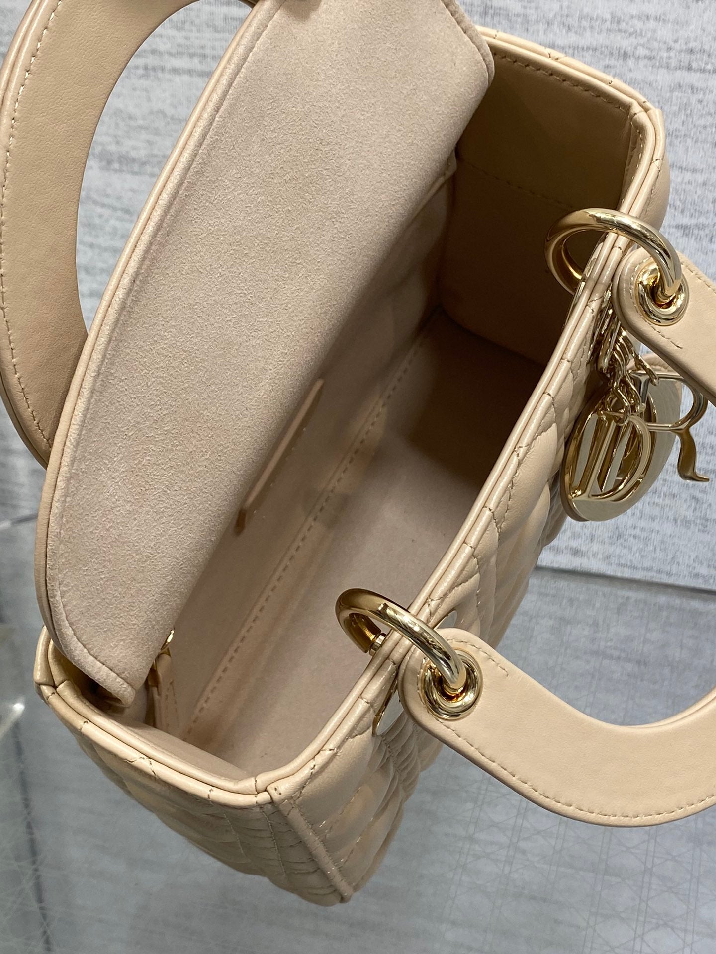BAG-DIOR-W-LY-769