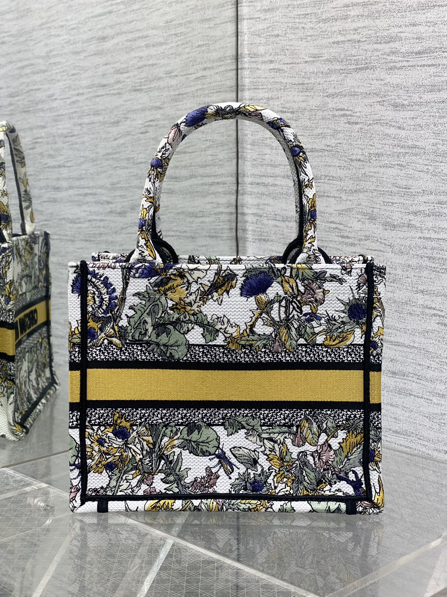 BAG-DIOR-W-LY-860