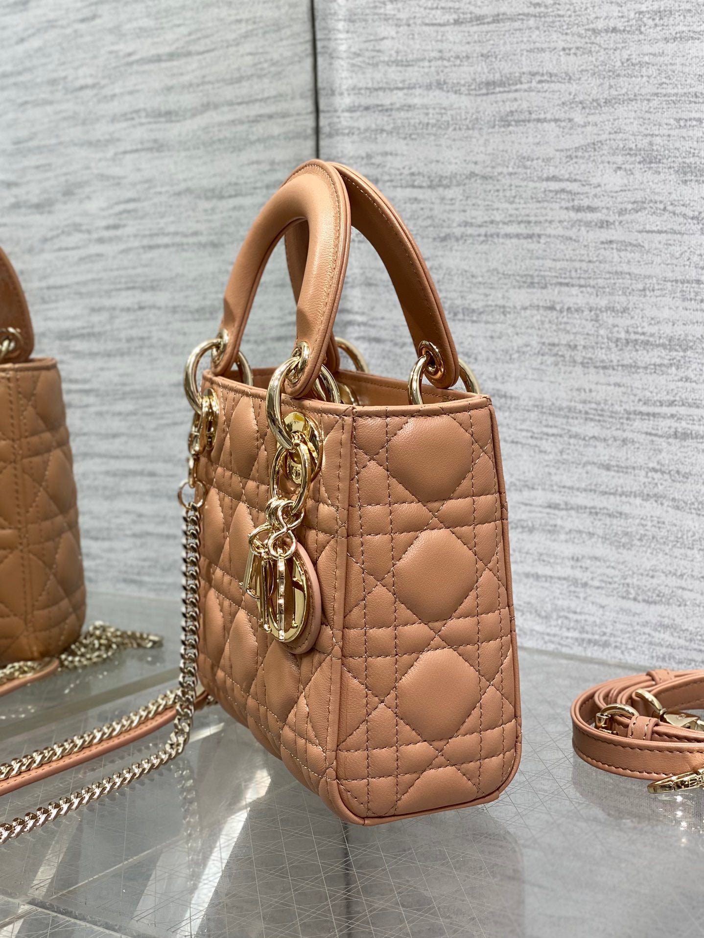 BAG-DIOR-W-LY-753