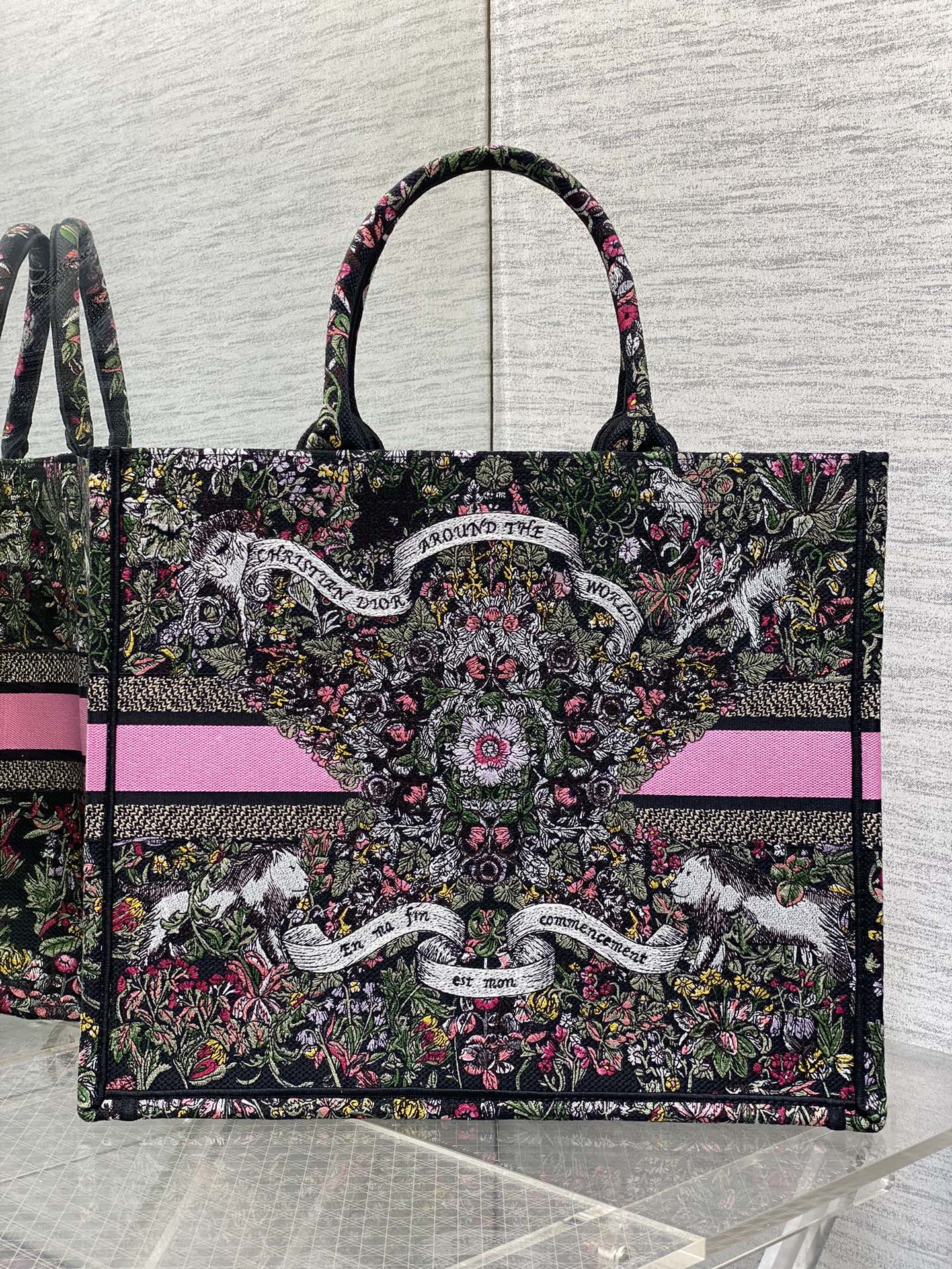 BAG-DIOR-W-LY-873