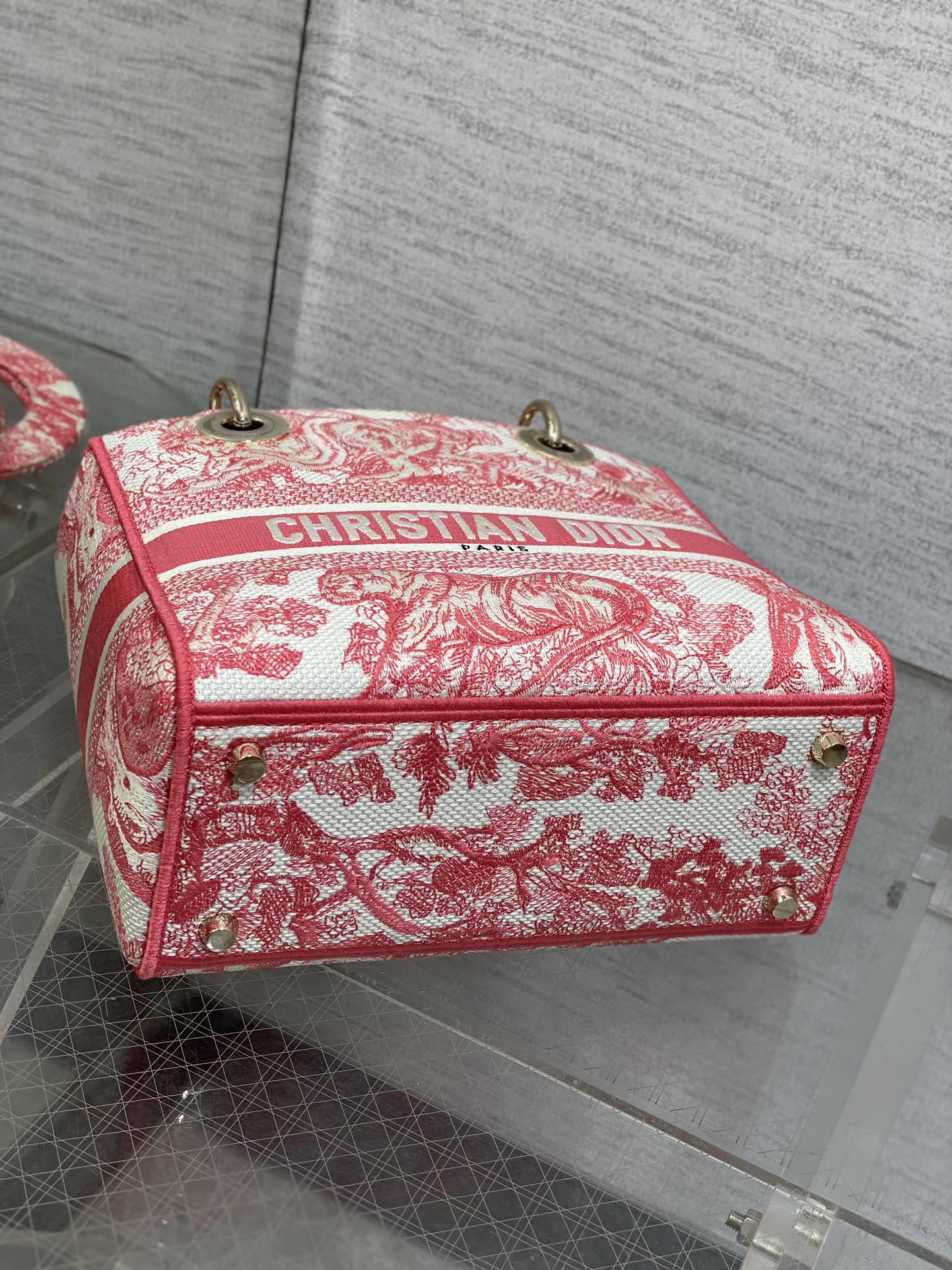 BAG-DIOR-W-LY-069