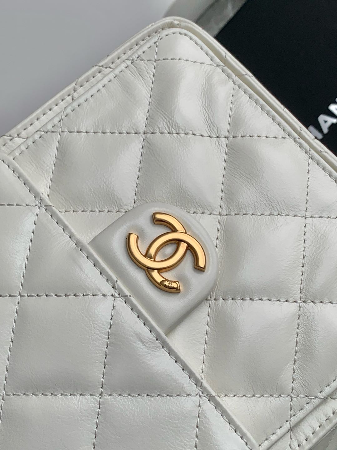 BAG-CHANEL-215