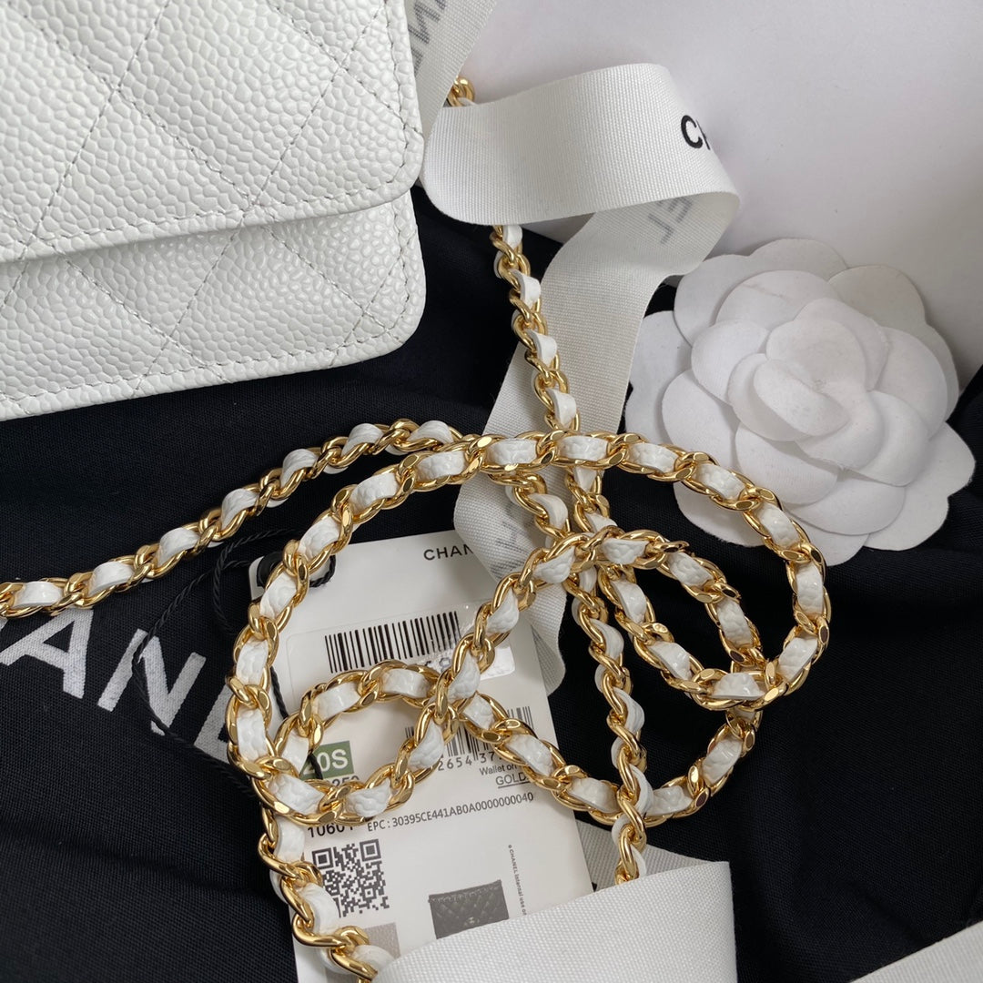 BAG-CHANEL-549
