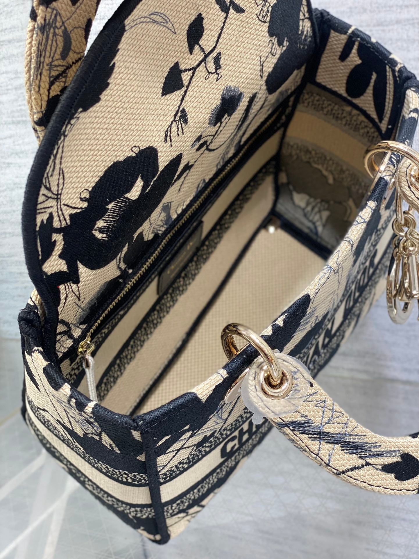 BAG-DIOR-W-LY-493