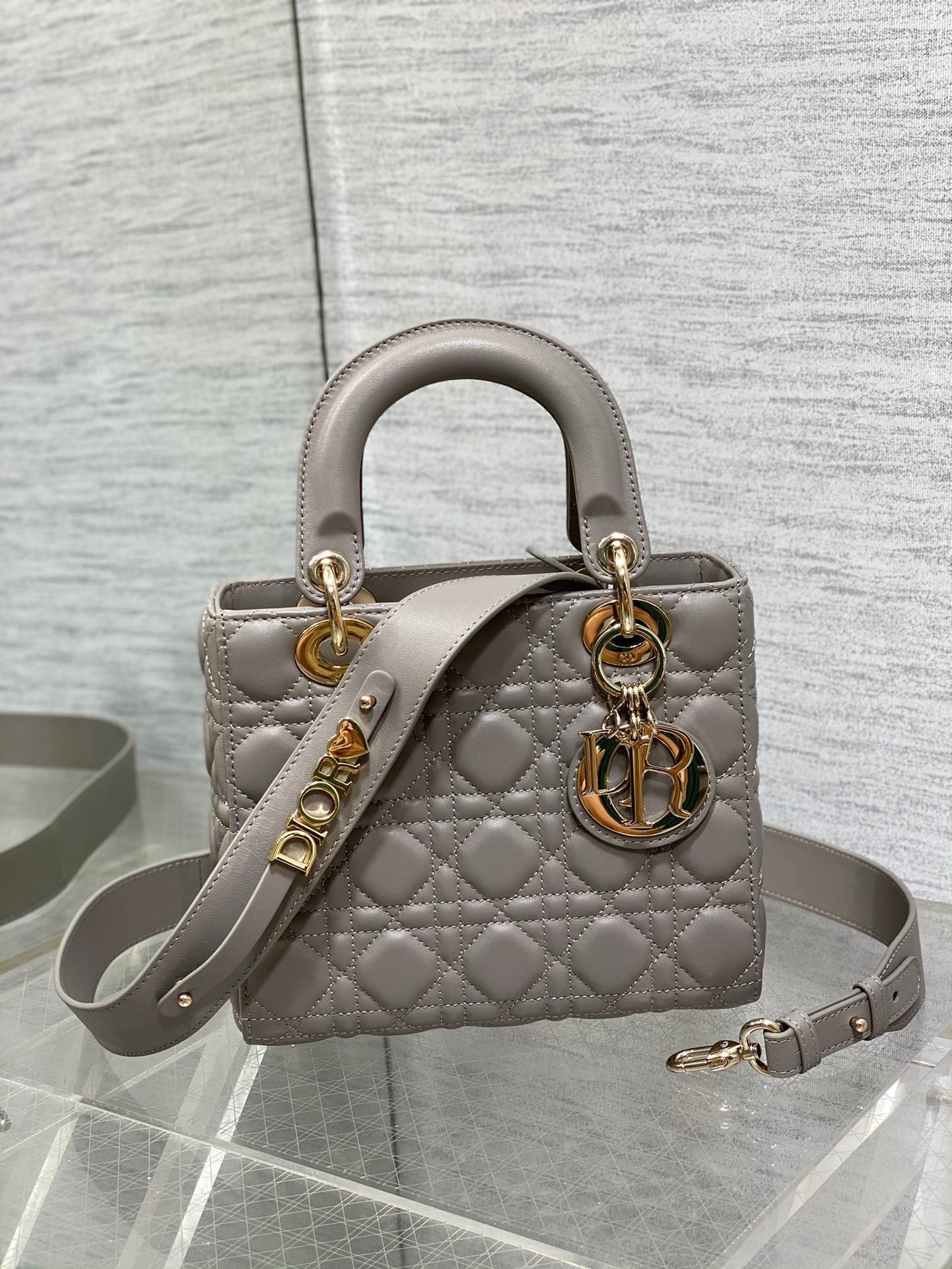 BAG-DIOR-W-LY-641