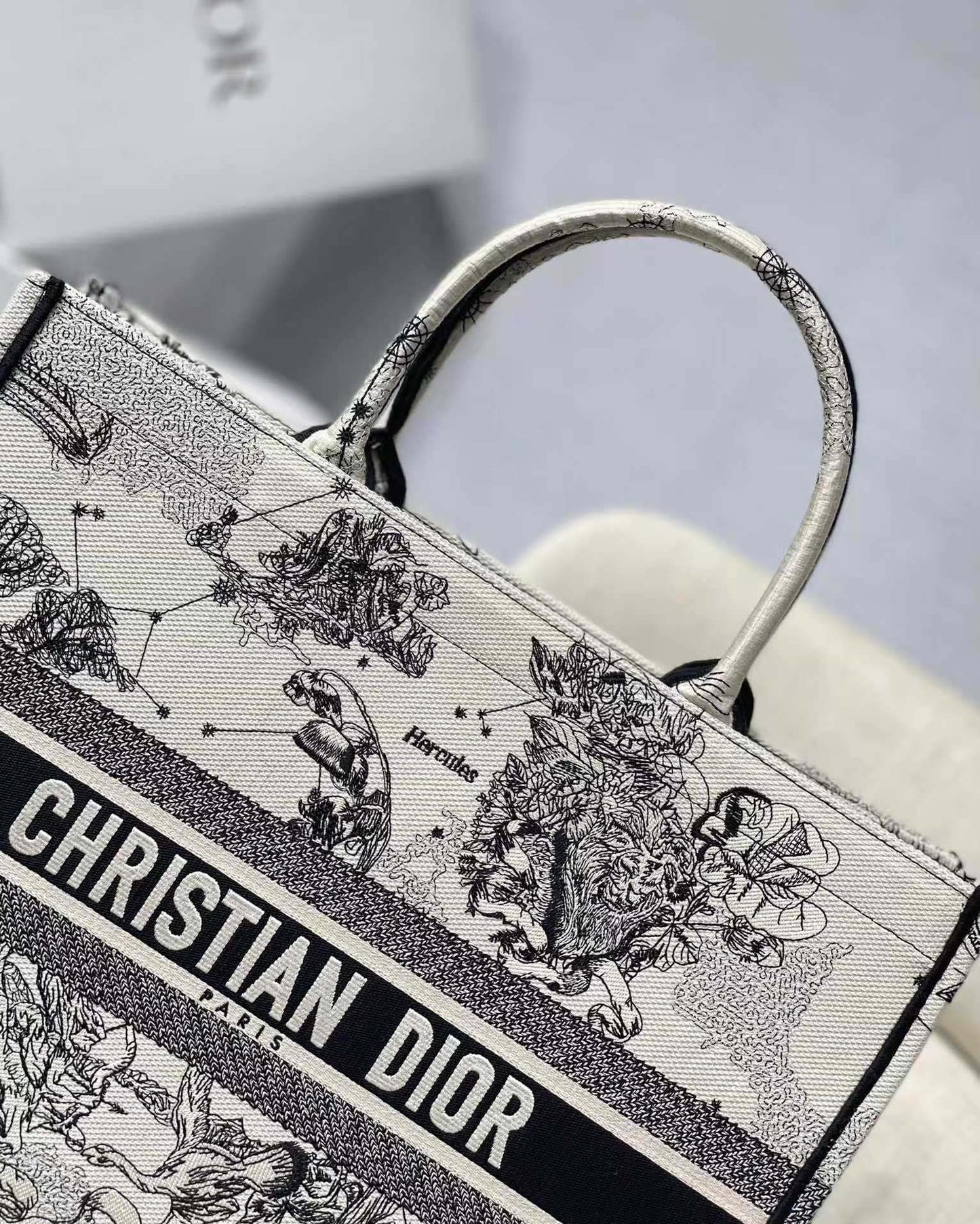 BAG-DIOR-W-LY-904