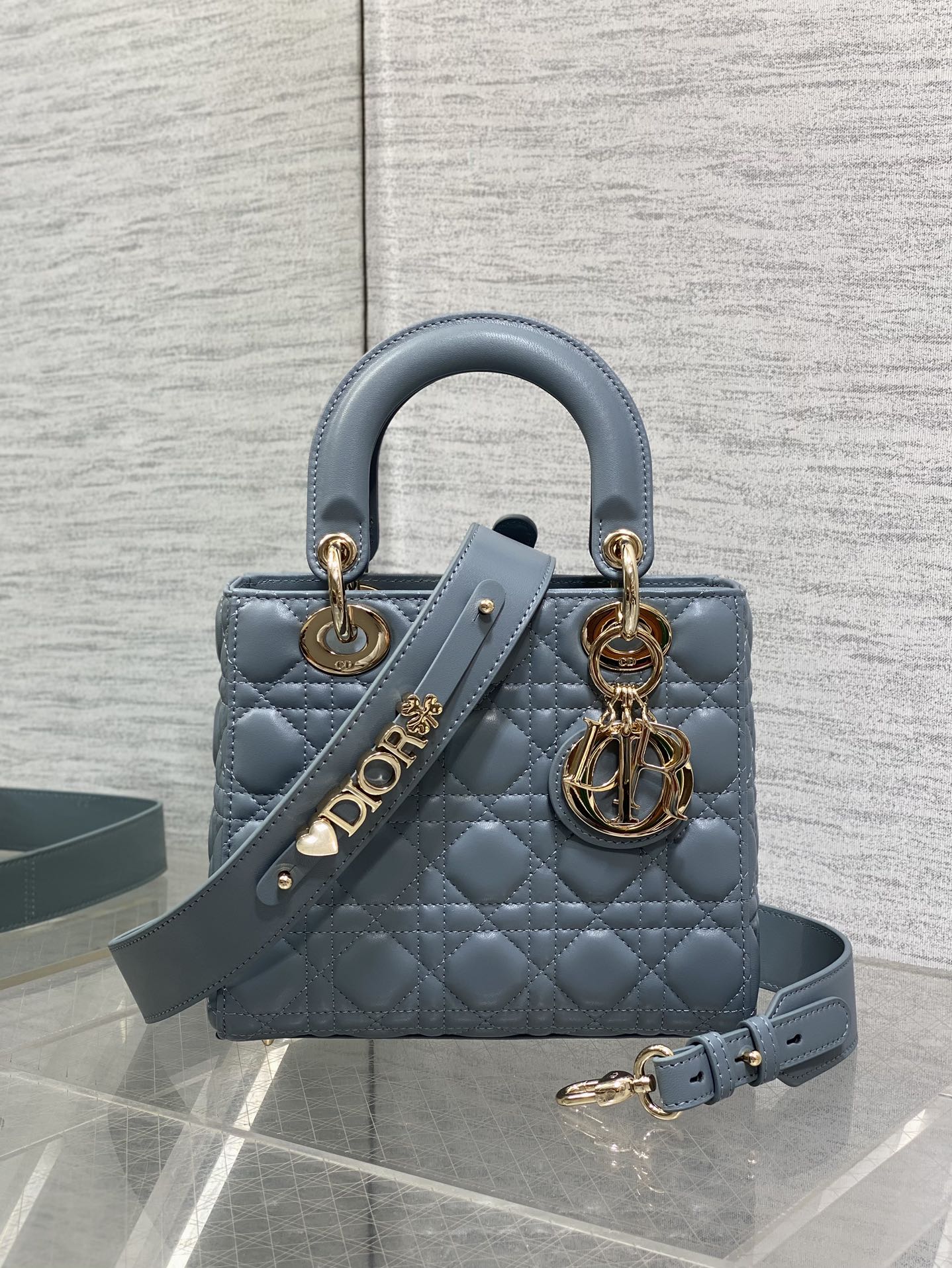 BAG-DIOR-W-LY-760